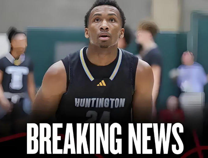 被媒体预测 被媒体预测