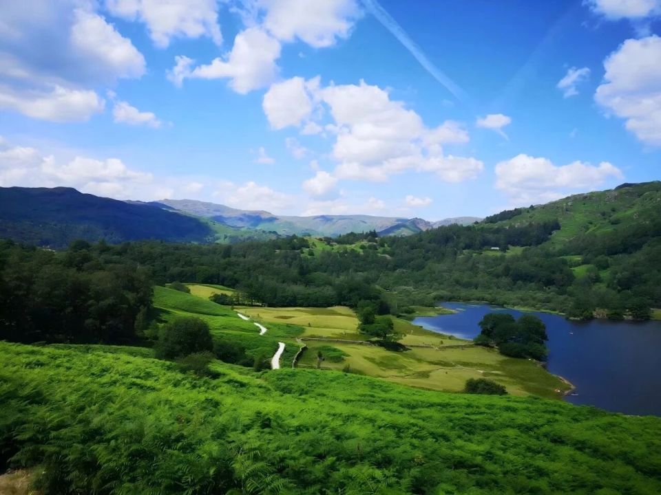 量发展, 陈琳玲, 展提供专业 量发展, 陈琳玲, 展提供专业