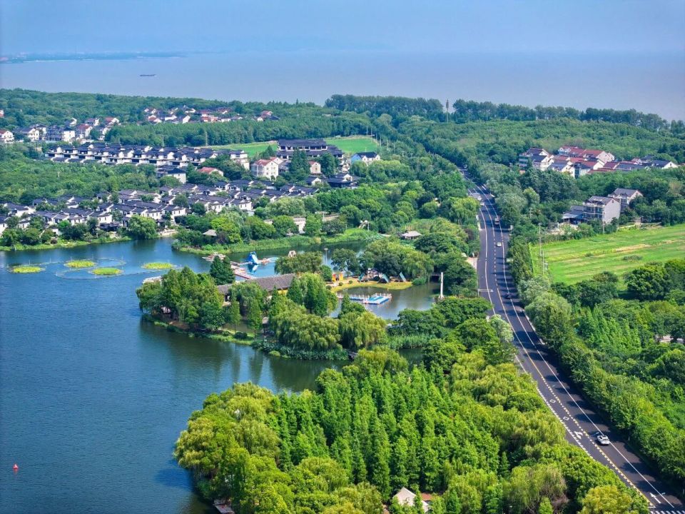 img, 内容 img, 内容